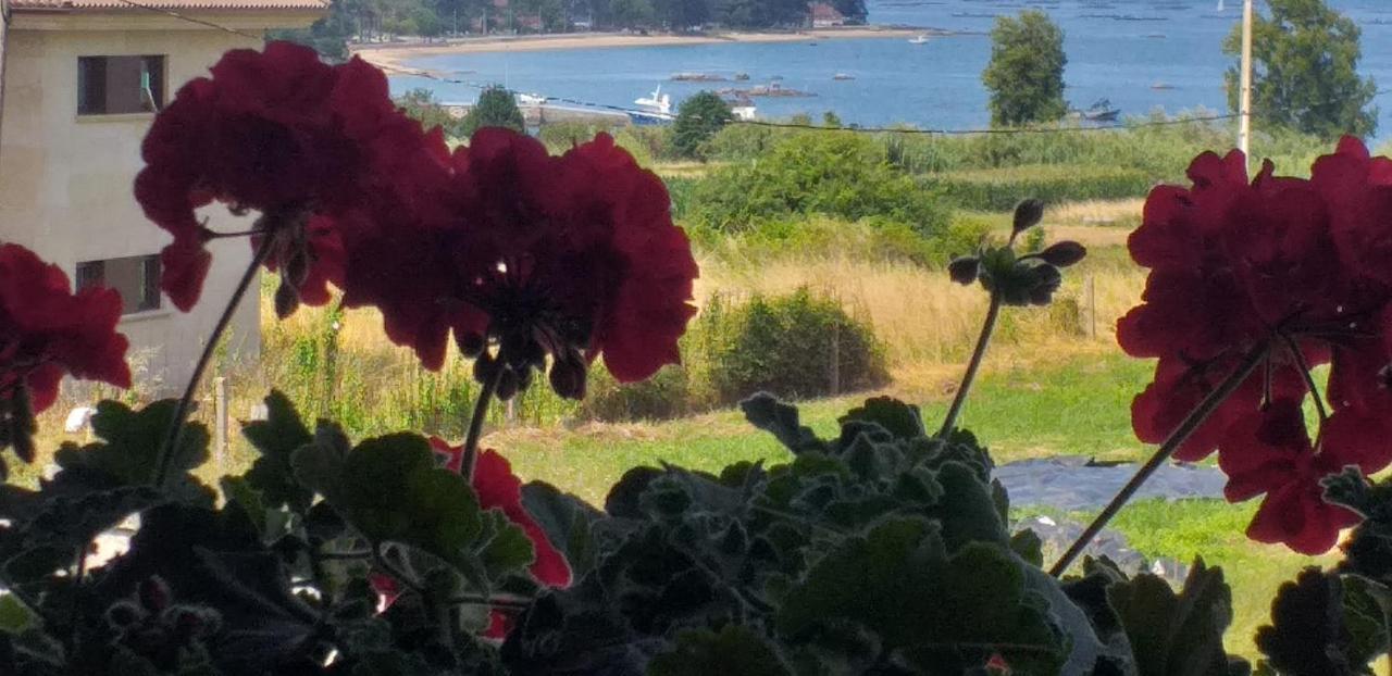 Apart Romero Garden C Villanueva De Arosa Eksteriør billede